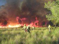 Unidad de Defensa Contra Incendios Forestales
